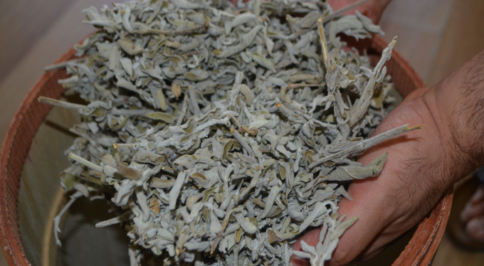 Terlemeye karşı doğal çözüm