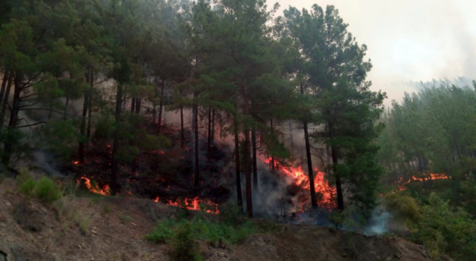 Ciğerlerimiz yandı!