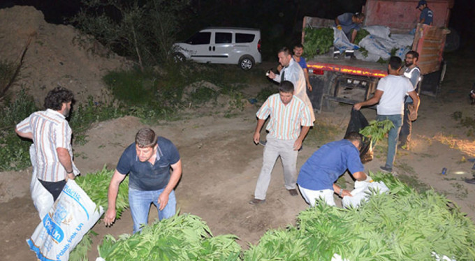 Dev operasyon! Piyasa değeri milyonlarca TL