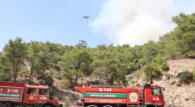 Önce yolcu otobüsü ardından orman yandı