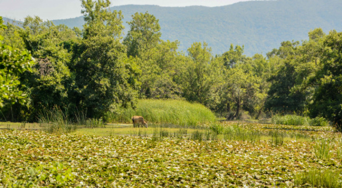 Bursa'nın doğa harikası için önemli adım