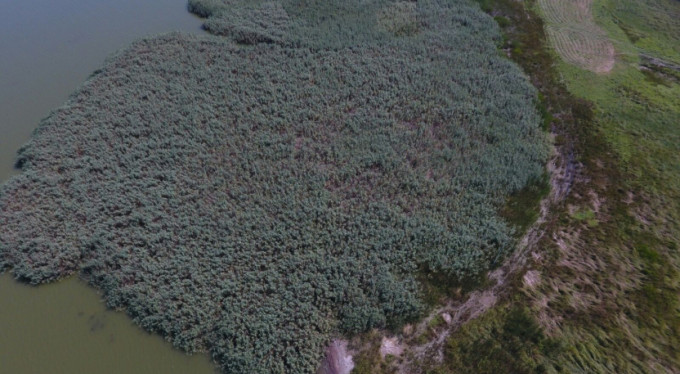 Bursa'da uyuşturucu ile teknolojik mücadele