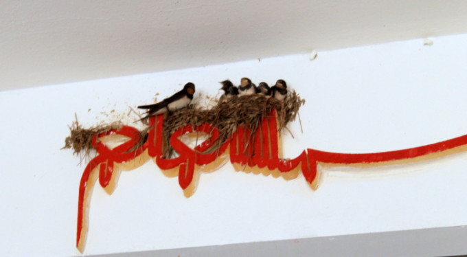 Bursa'da şaşırtan olay!