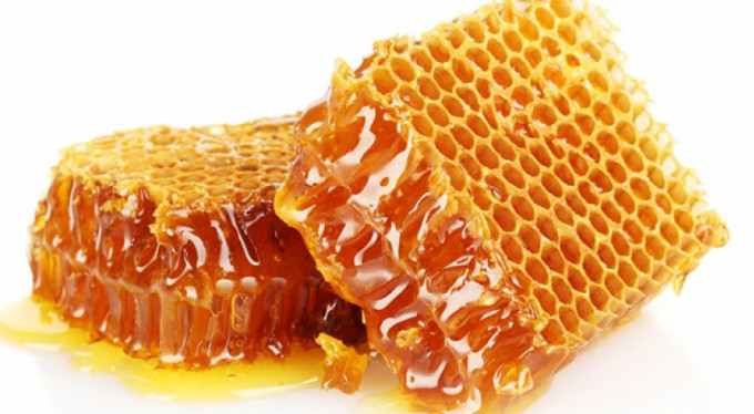 Bursa'da bal bereketi