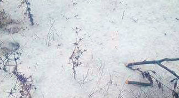 Bursa'yı dolu ve sel vurdu