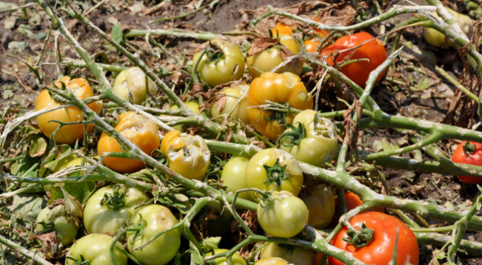 Bursa'yı dolu vurdu! İnceleme başlatıldı...