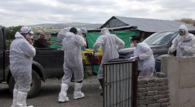 Yine aynı tehlike! Kuş gribi alarmı...