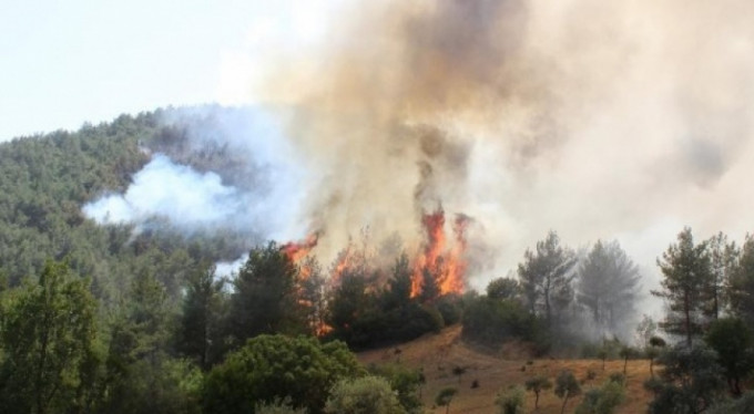 Orman yangını büyüyerek devam ediyor