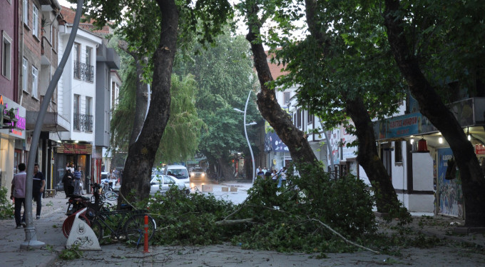 Bursa'da korkutan fırtına! Ağaçları söktü