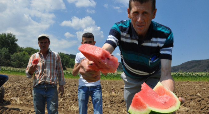 Bursa'da karpuzda iddialı