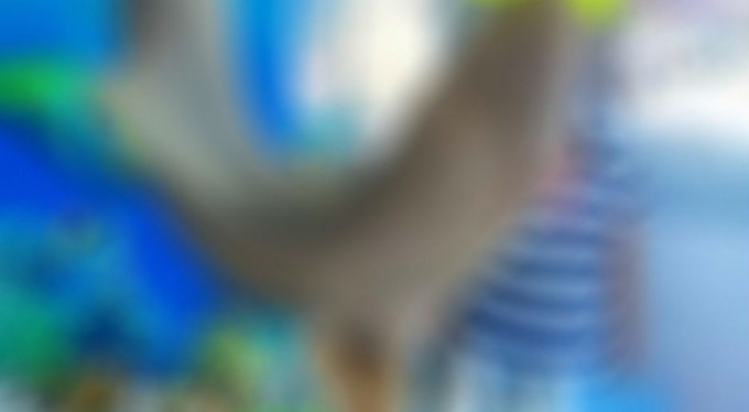 Marmara Denizi'nde büyük tehlike!