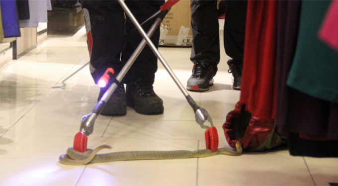 Mağazada nefes kesen yılan operasyonu kamerada