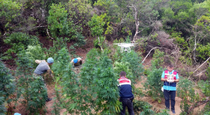 Bursa'da ormanda şok görüntüler!