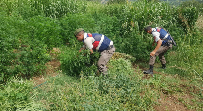 Bursa'da hayvan çiftliğine baskın!