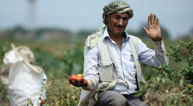 Bursa'da çaresiz kaldılar