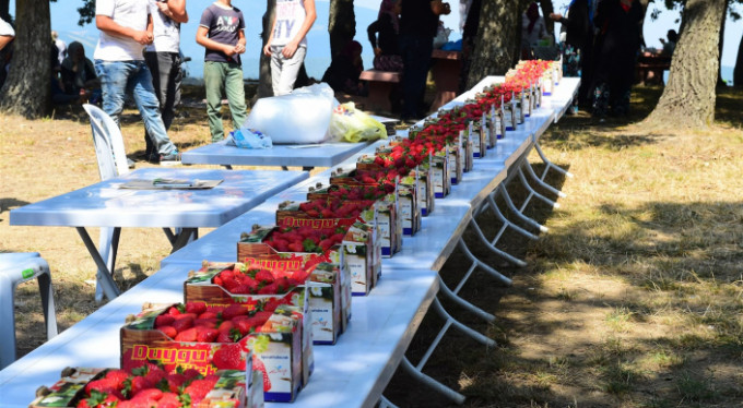 Bursa'da 'Çilek Festivali'