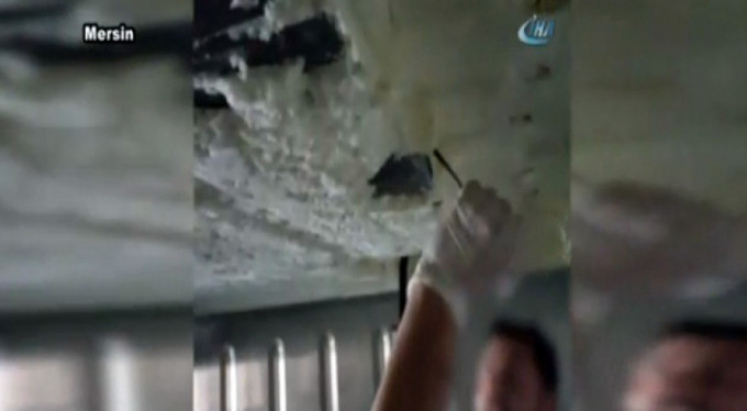 Dev operasyon! Milyonlarca lira değerinde