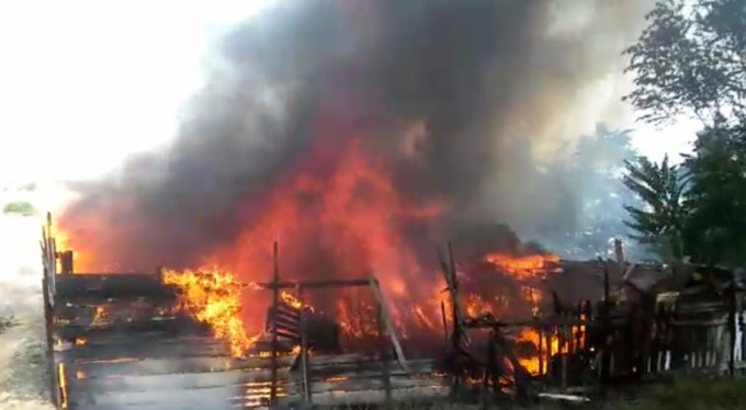 Bursa'da çıkan yangında binlercesi telef oldu