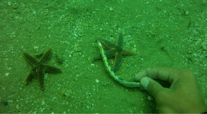 Bursa'da denizler temizleniyor