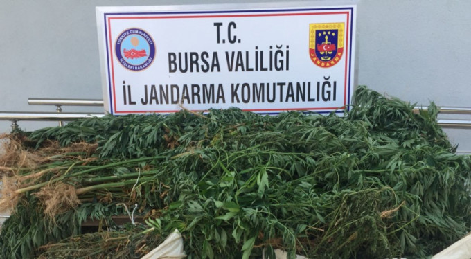 Bursa'da uyuşturucuya binlerce liralık darbe