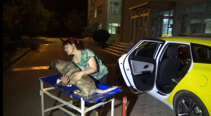 Bursa'da örnek davranış