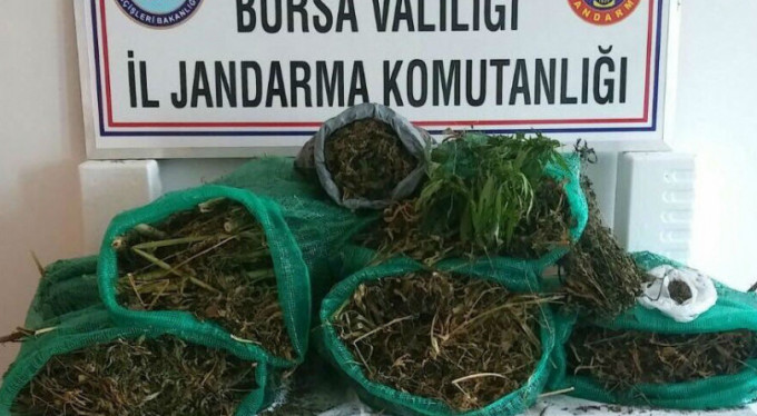 Bursa'da şok baskın