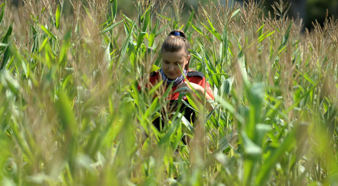 Bursa günlerdir onu arıyor