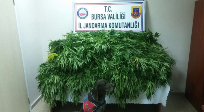 Şuç makinesine Bursa'da baskın