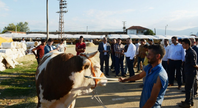 Bursa'nın kurban pazarı hareketlendi