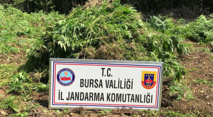 Bursa'da zehir tacirlerine milyonlarca liralık darbe