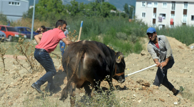 Bursa'da kaçak var! Bakın nasıl yakalandı