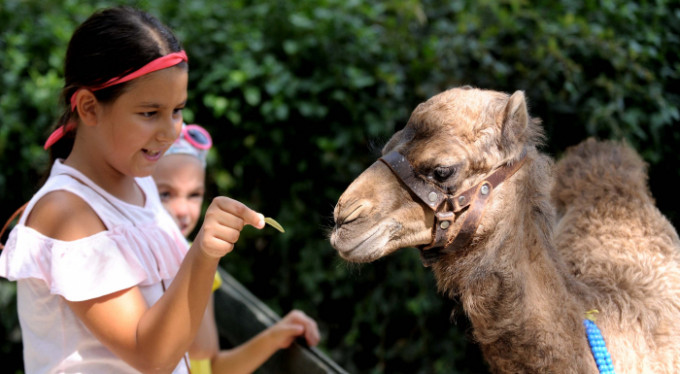 Bursa'da ona büyük ilgi