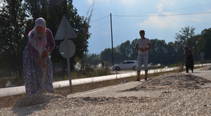 Bursa'da çekirdeği otoyolda kurutuyorlar!