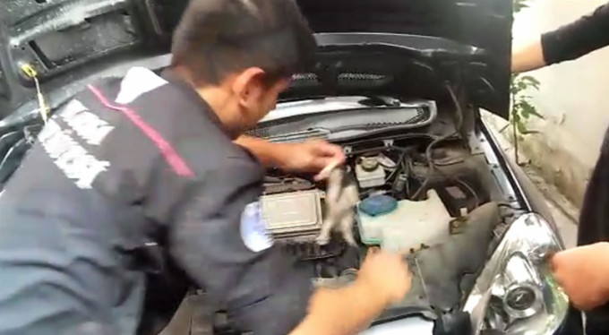 Bursa'da öyle bir yerde doğdu ki...