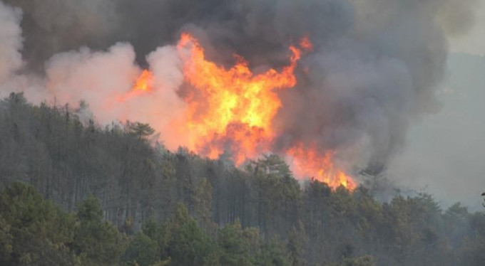 Yangın söndürülemiyor! Bursa'dan da destek