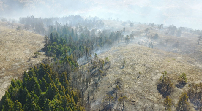 5 günün sonunda sevindiren haber