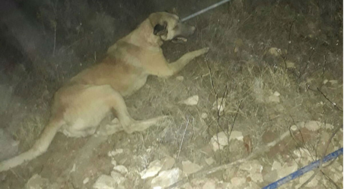 Bursa onun için seferber oldu