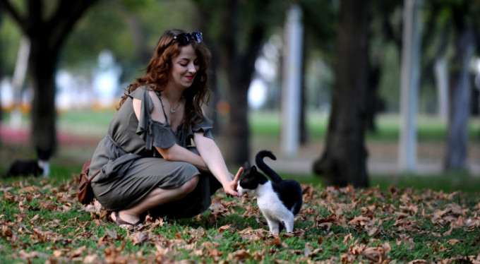 Bursa'da onları görenler hayran kalıyor