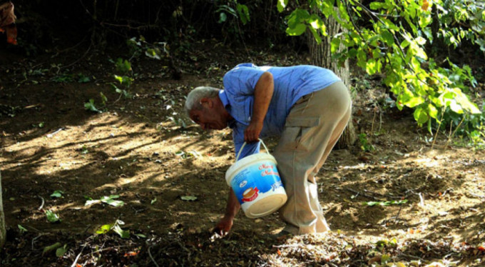 Hırsızla anlaştı, evine kadar bıraktı