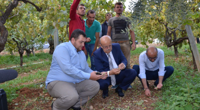 Bursa'daki mağdur çiftçiler için çalışmalar başladı