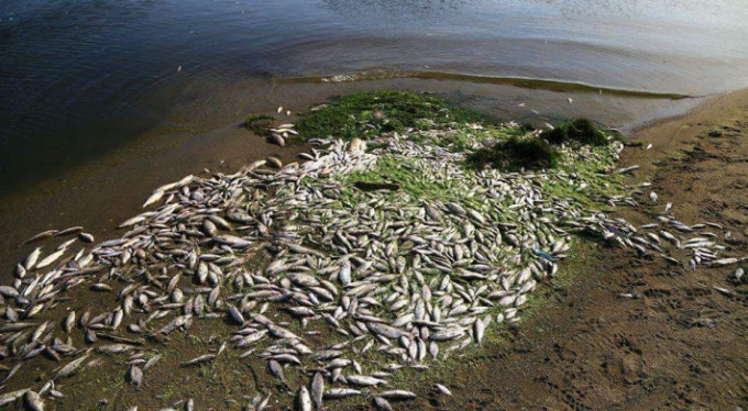 Bu ölümler korkutuyor! Balıkesir'den Bursa'ya...