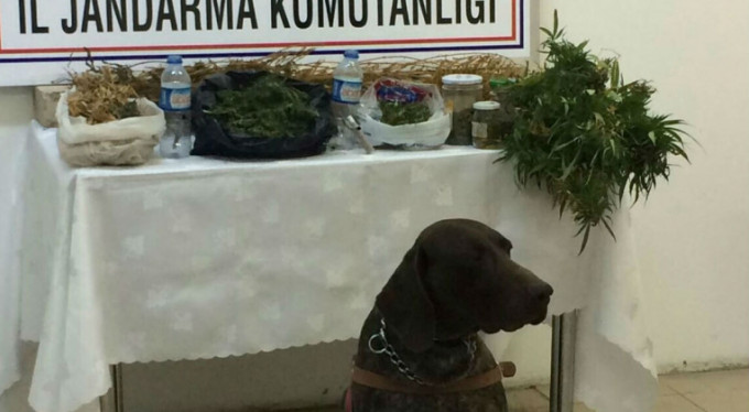 Bursa'da uyuşturucu operasyonu