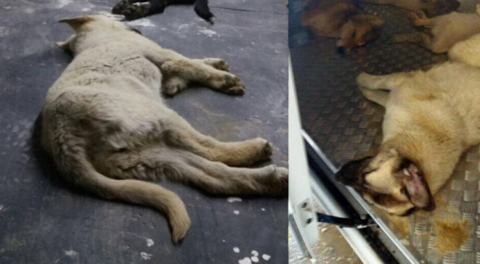 Anlamlı günde yürekleri sızlatan olay!