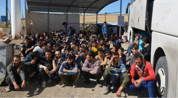 Otobüsten 181 kaçak göçmen çıktı