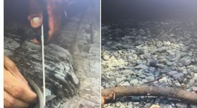 Önce yılanı sonra cezayı yedi