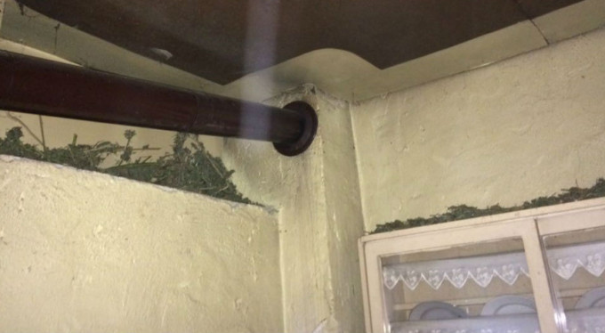 Bursa'da çiftlik evinde şok görüntüler!