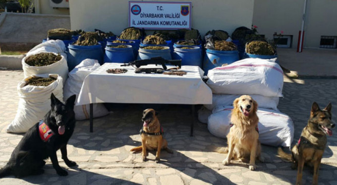 PKK'ya büyük darbe!