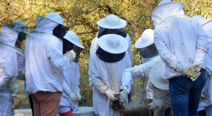 Bursa'yı iklim değişikliği vurdu!