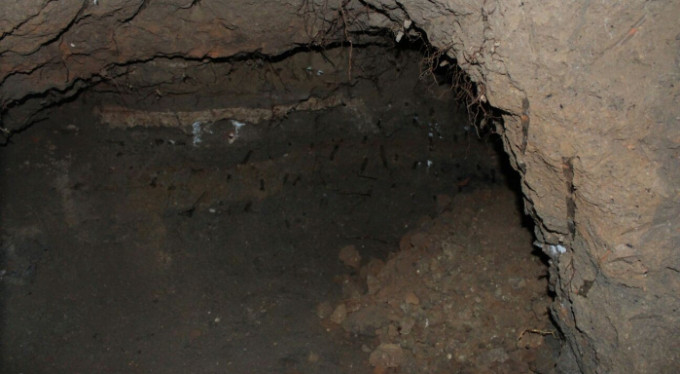 Bursa'da çadırın altından çıkan şoke etti