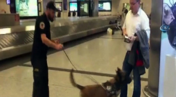 Almanya'dan gelenlere köpekli arama